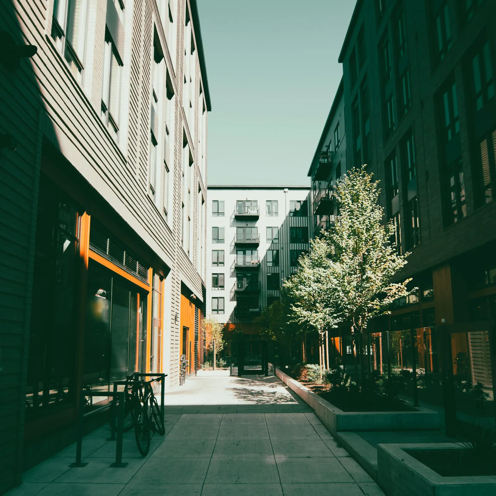 Cour arborée entre des immeubles résidentiels modernes
